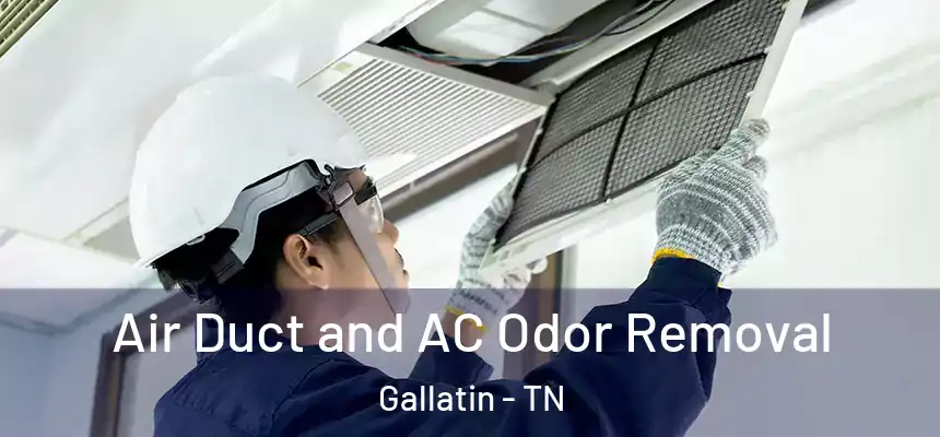 Air Duct and AC Odor Removal Gallatin - TN
