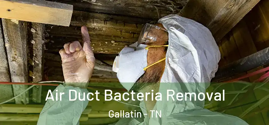 Air Duct Bacteria Removal Gallatin - TN