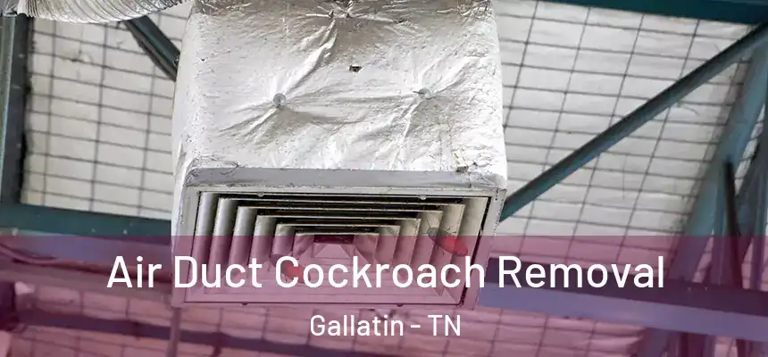  Air Duct Cockroach Removal Gallatin - TN