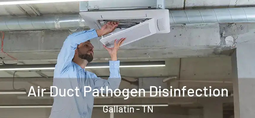 Air Duct Pathogen Disinfection Gallatin - TN