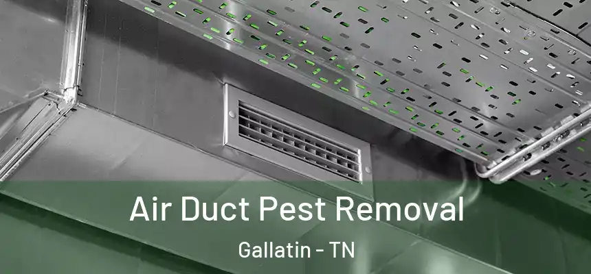  Air Duct Pest Removal Gallatin - TN