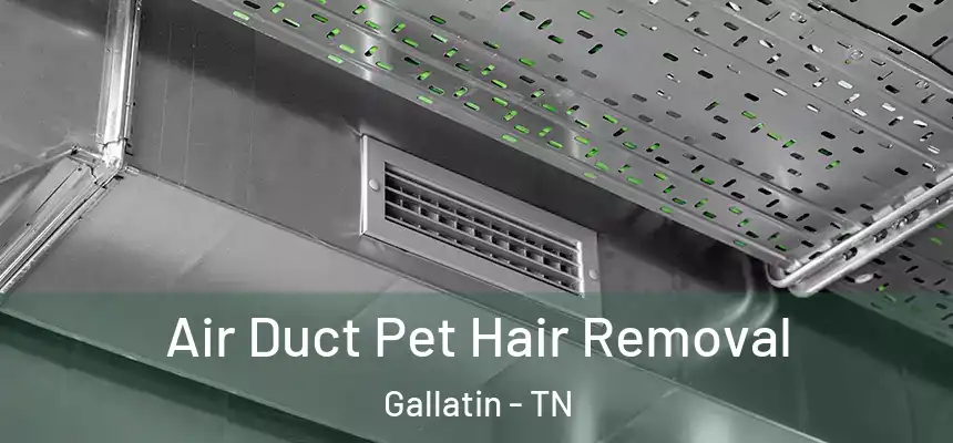 Air Duct Pet Hair Removal Gallatin - TN