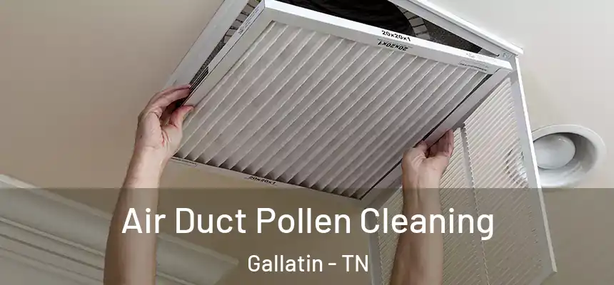 Air Duct Pollen Cleaning Gallatin - TN
