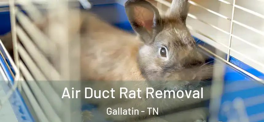  Air Duct Rat Removal Gallatin - TN