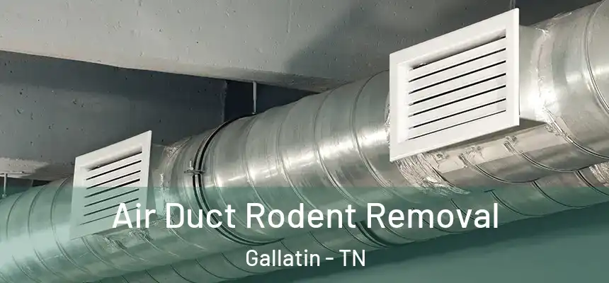  Air Duct Rodent Removal Gallatin - TN