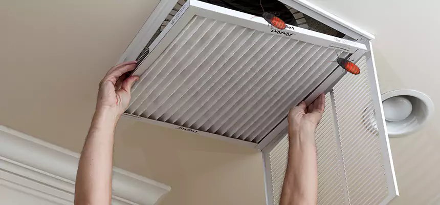 Preventive Cockroach-Proofing for Ducts in Gallatin