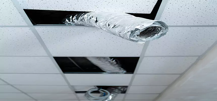 Our Air Duct Pet Hair Removal Services in Gallatin, TN