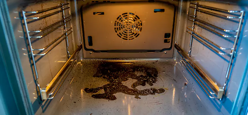 Our Dryer Vent Mold Cleaning Services in Gallatin, TN