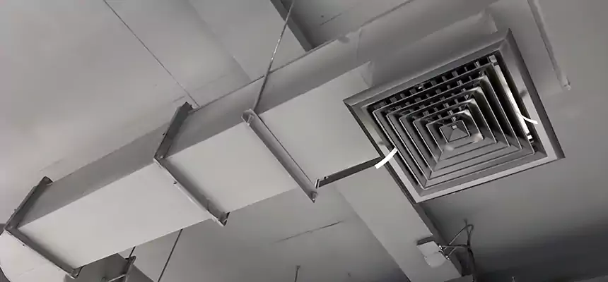 Our Pest Removal From Ducts Services in Gallatin, TN