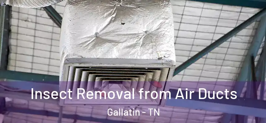 Insect Removal from Air Ducts Gallatin - TN