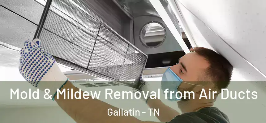  Mold & Mildew Removal from Air Ducts Gallatin - TN