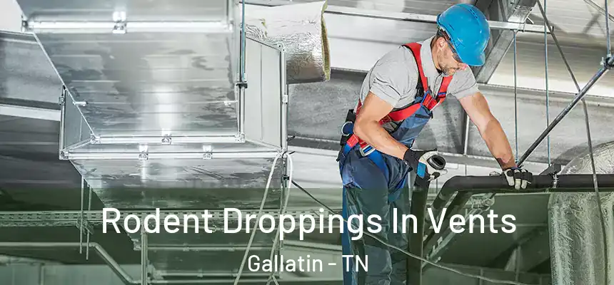 Rodent Droppings In Vents Gallatin - TN