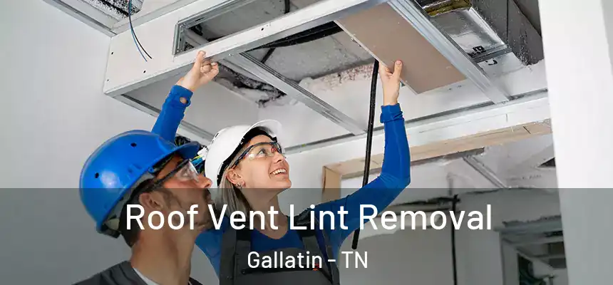  Roof Vent Lint Removal Gallatin - TN