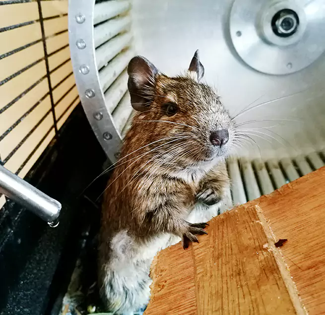 Why Homeowners & Businesses Trust Us Gallatin, TN?